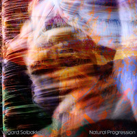 Vegard Solbakken - Natural Progression