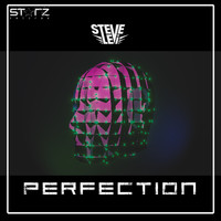 Steve Levi - Perfection