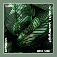 Alex Kenji - Can U Feel It | Something Right