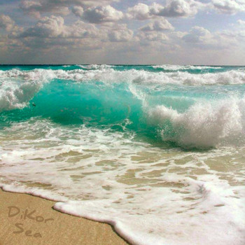 DIKOR - Sea