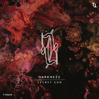 Darknezz - Secret Gun