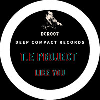 T.E Project - Like You