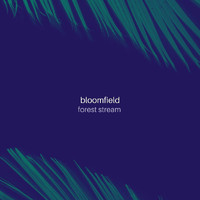 Bloomfield - Forest Stream