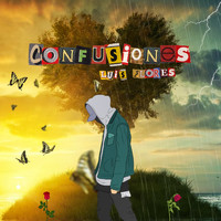 Luis Flores - Confusiones