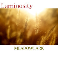 Meadowlark - Icarus