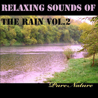 Pure Nature - Relaxing Sounds of the Rain, Vol. 2