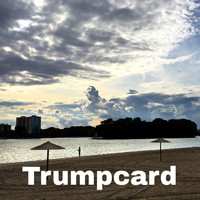 Big Bird - Trumpcard