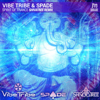Vibe Tribe and Spade - Spirit of Trance (Shivatree Remix)