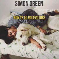 Simon Green - Non te lo volevo dire (Explicit)