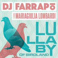 Dj Farrapo - Lullaby of Birdland