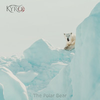 Kyro - The Polar Bear