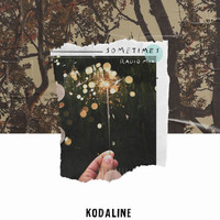 Kodaline - Sometimes (Radio Mix)
