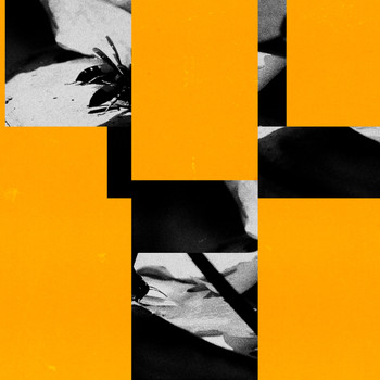 No! - Bee Bite, Sweet Honey