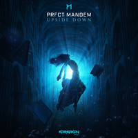PRFCT Mandem - Upside Down