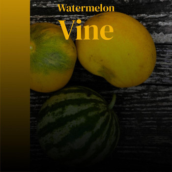 Various Artist - Watermelon Vine