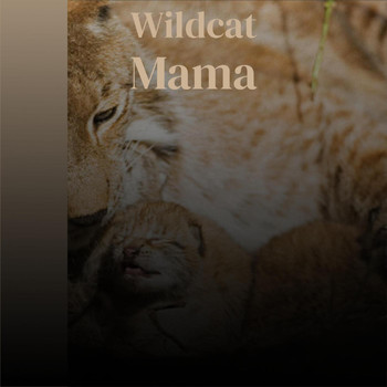 Various Artist - Wildcat Mama