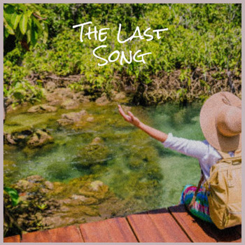 Various Artist - The Last Song