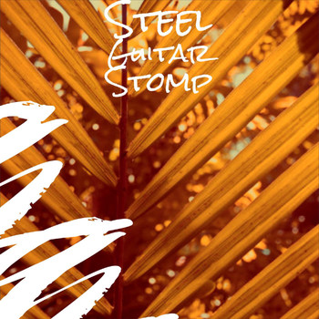 Various Artist - Steel Guitar Stomp
