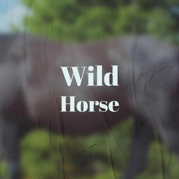 Various Artist - Wild Horse