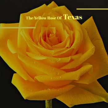 Various Artist - The Yellow Rose Of Texas