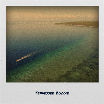 Various Artist - Tennessee Boogie