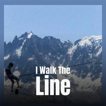 Various Artist - I Walk The Line
