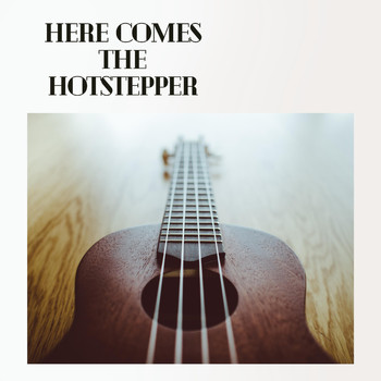 Various Artists - Here Comes the Hotstepper