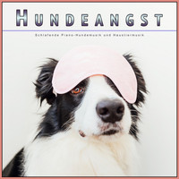 Beruhigende Musik für Hunde, Schlafende Musik für Hunde, Hundemusik - Hundeangst: Schlafende Piano-Hundemusik und Haustiermusik