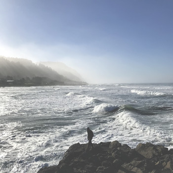 Ehukai - Yachats