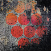 Carl Taylor - Polka-Strowka