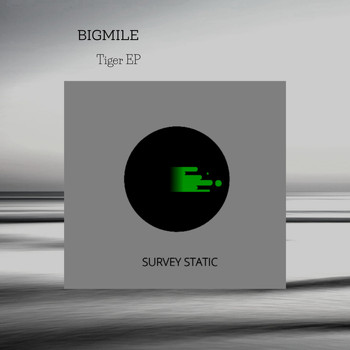 Bigmile - Tiger EP