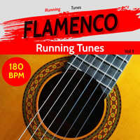 180 BPM - Flamenco Running Tunes Vol 1