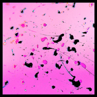 Amory - Constantly Hurting/Constantly Healing