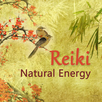 Music Body and Spirit - Reiki Natural Energy