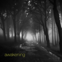 Clarence Ofwerman - Awakening