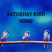 Touch of Spades - Saturday Bird Song