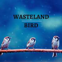 Touch of Spades - Wasteland Bird
