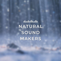 Natural Sound Makers - Natural Sound Makers