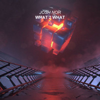 Josh Nor - What 2 What