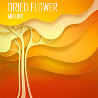 Dried Flower - Metiloco