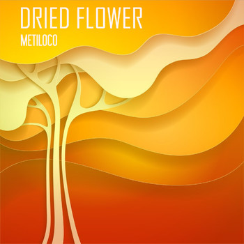 Dried Flower - Metiloco