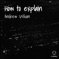 Andrew Wilson - How to explain