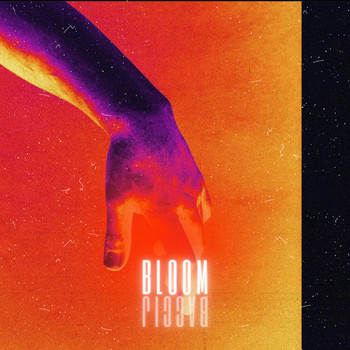 Baccij - Bloom