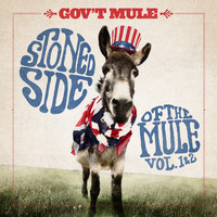 Gov't Mule - Under My Thumb