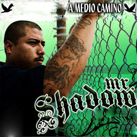 Mr. Shadow - A Medio Camino (Explicit)