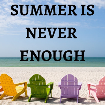 Various Artists - Summer Is Never Enough