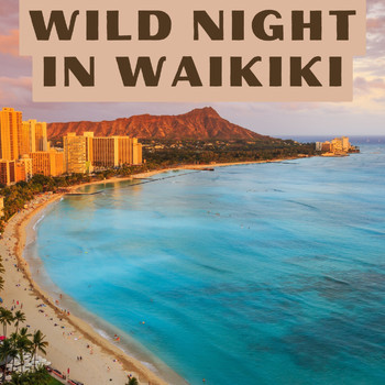 Various Artists - Wild Night in Waikiki