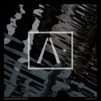 Various Artists - Unknown Perceptions