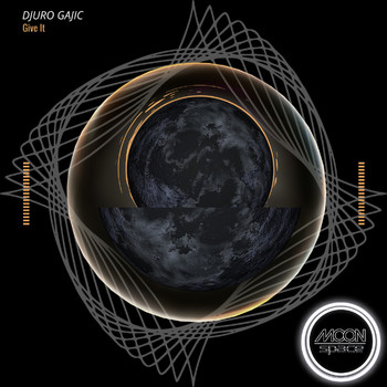 Djuro Gajic - Chasing Perfection