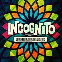 Incognito feat. Bluey - Could Heaven Ever Be Like This
